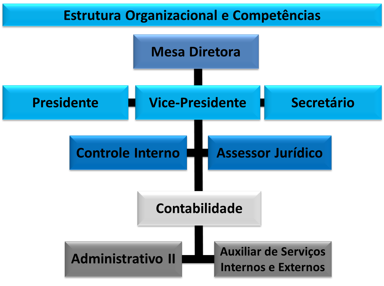 Estrutura Organizacional e Competências