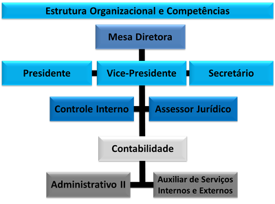 Estrutura Organizacional e Competências