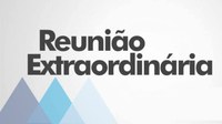 8ª REUNIÃO EXTRAORDINÁRIA