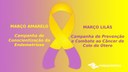 Março Amarelo e Lilás alerta sobre os cuidados da saúde da mulher